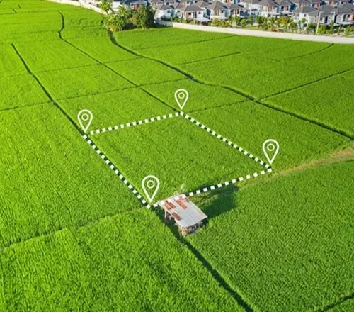 landarea